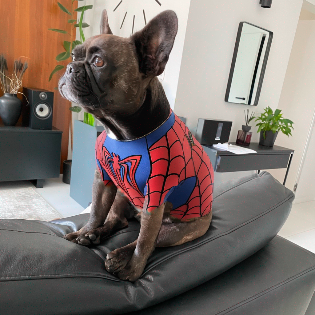 Dog as Superhero 3