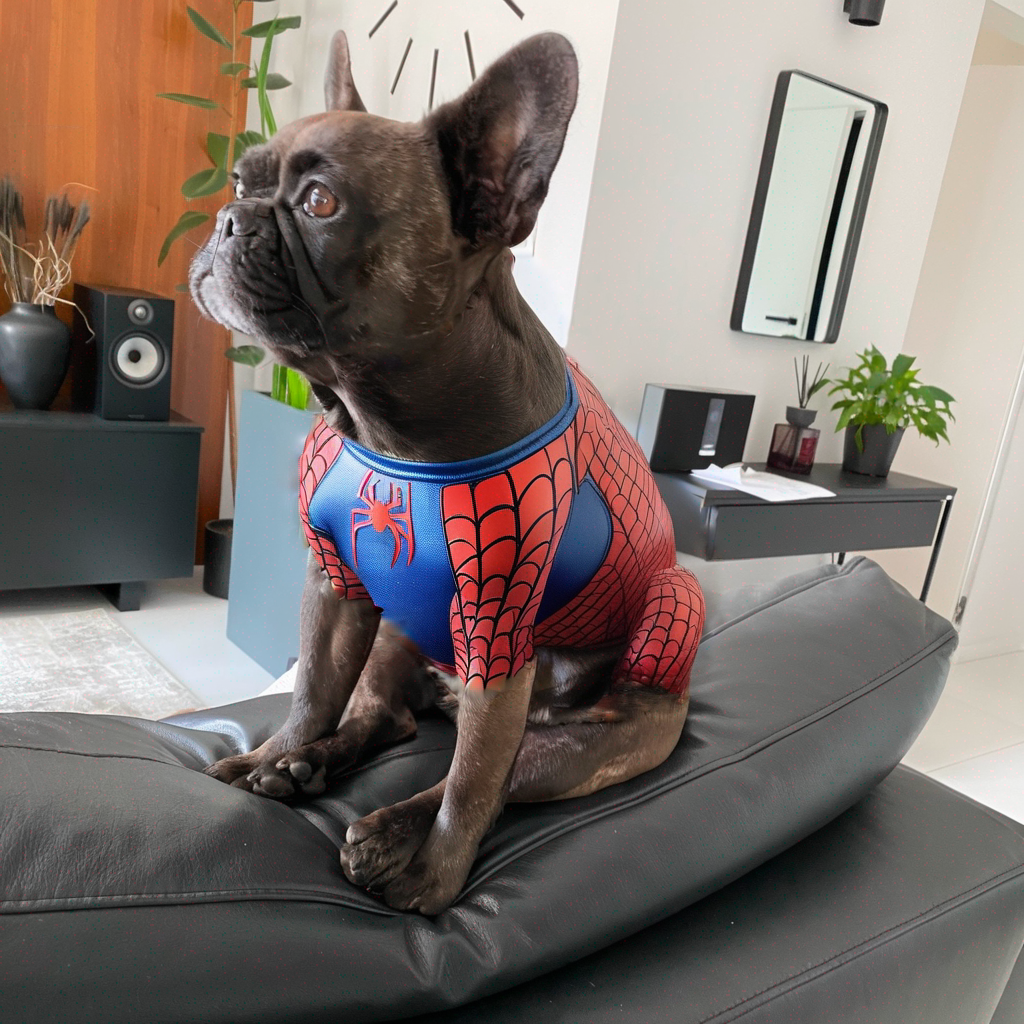 Dog as Superhero 4